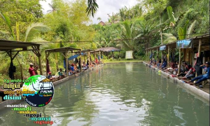 Pemancingan Pinggir Reel: Santai di Tepi Sungai dengan Nikmatnya Ikan Bakar